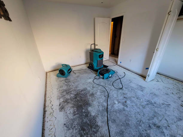 Best Local water damage restoration  in Ulysses, KS