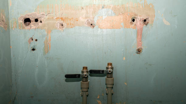 Best Mold removal after water damage  in Ulysses, KS