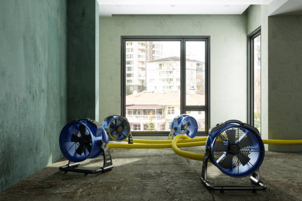 Best Commercial water damage restoration  in Ulysses, KS
